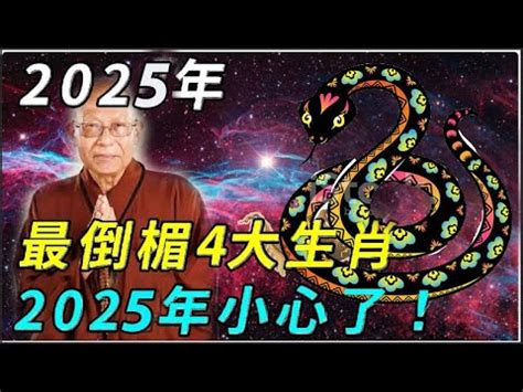 2025 什麼年|2025是民國幾年？2025是什麼生肖？2025幾歲？